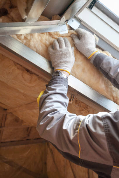 Eco-Friendly or Green Insulation Solutions in Port Sulphur, LA